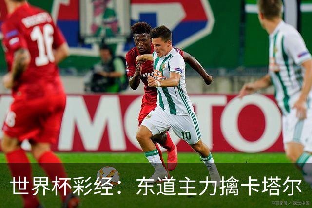 世界杯彩经：东道主力擒卡塔尔